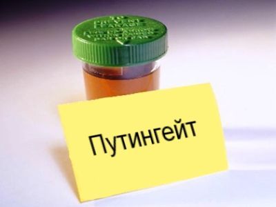 Путигейт. Коллаж: Каспаров.Ru Путигейт. Коллаж: Каспаров.Ru