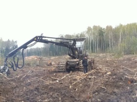 Харвестр в Химкинском лесу. Фото с сайта blackblocg.info