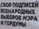 Сбор подписей за выборы мэра. Фото: Валерий Павлюкевич, Каспаров.Ru