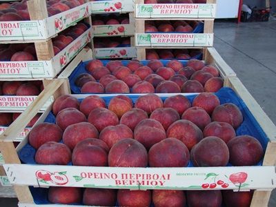 Персики из Греции. Фото: fruitinfo.ru.