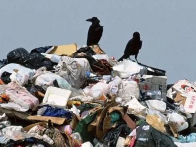 В Свердловской области общественность защитила Сысерть от мусорного полигона