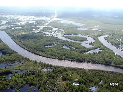 Томская область. Фото: НИА Томск