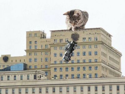 Система "Панцирь" на крыше Минобороны РФ и котик. Коллаж: t.me/politota_plus