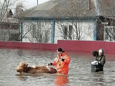 Фото: ГУ МЧС России по Алтайскому краю