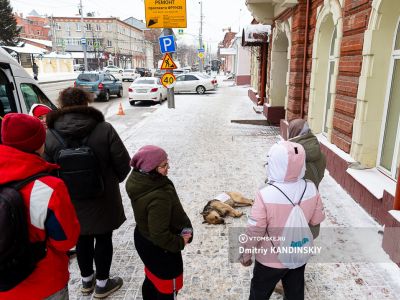 Томские зоозащитники принесли к мэрии труп бездомной собаки из?за массовых отравлений животных на улицах