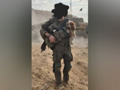 Израильский солдат со спасенной собакой. Фото: t.me/alexander_rodnyansky Израильский солдат со спасенной собакой. Фото: t.me/alexander_rodnyansky